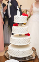 Obraz na płótnie Canvas gorgeous white wedding cake on the background of the newlyweds