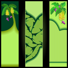 Banana and palm  tree. Wide skyscraper. Collection of tropical banners. Vector illustration.