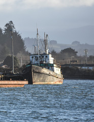 Last Known Whaling Ship in Humboldt County Shortly Before Sinking