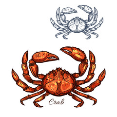 Crab vector isolated sketch icon