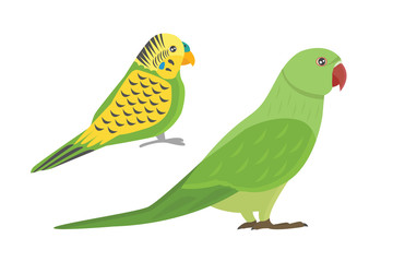 Cartoon tropical parrot wild animal bird vector illustration.