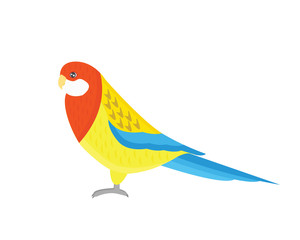 Cartoon tropical parrot wild animal bird vector illustration.