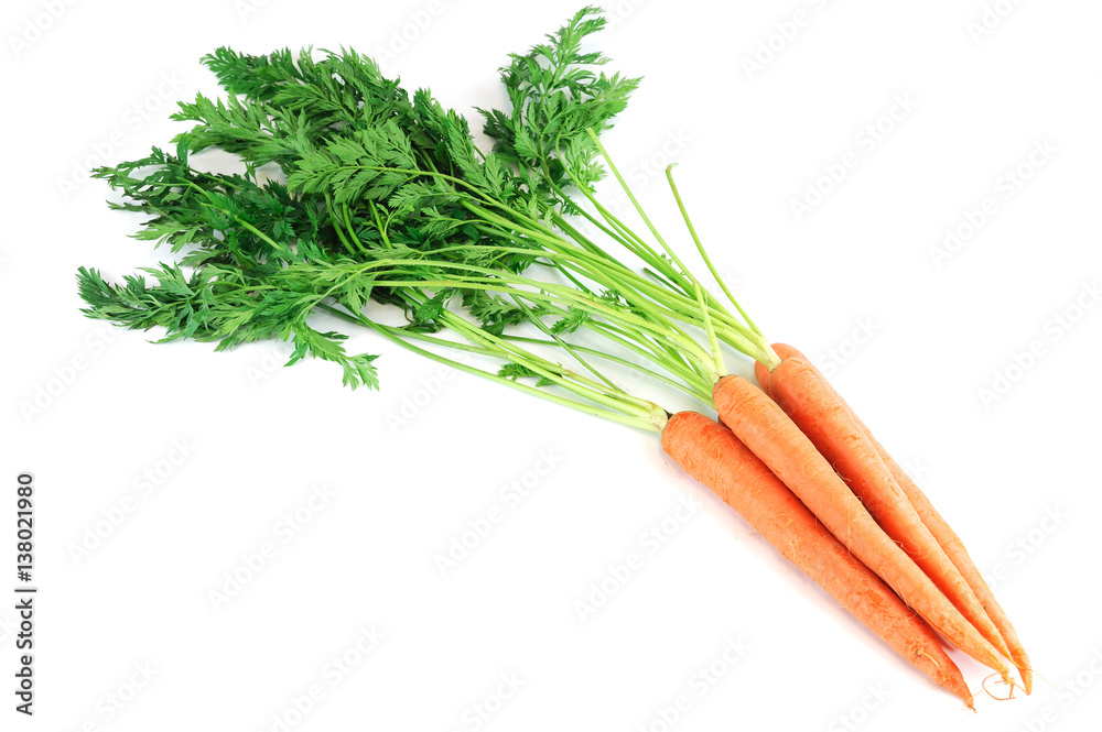 Wall mural fresh carrot with leaves isolated on white background