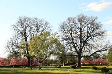 City Park