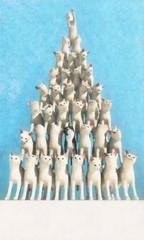 Obraz premium 고양이