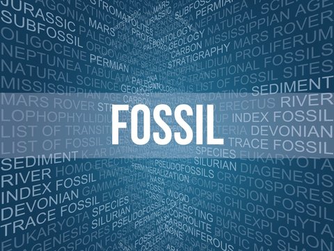 Fossil