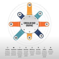 Circular Bar Graphic