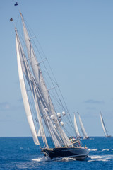 leading the race of the big sails