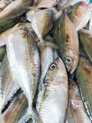 Obraz premium Fresh Fish close up at the market