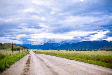 road nature landscape