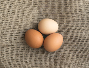 Three Brown Chicken Eggs