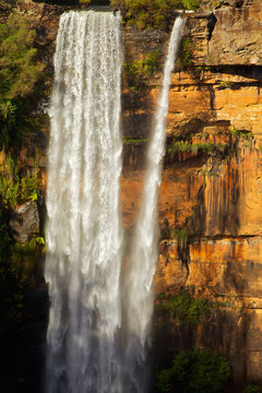 Fitzroy Falls Fury