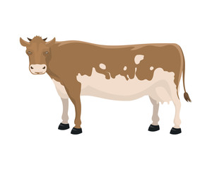 Cartoon cow farm animal vector illustration.