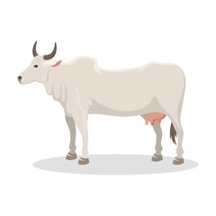 Cartoon cow farm animal vector illustration.