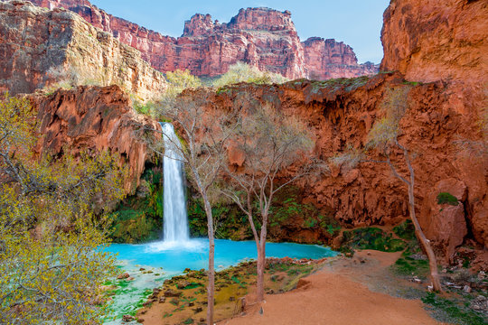 Fototapeta Havasu Falls is located in the Village of Supai on the Havasupai Reservation in the Grand Canyon, AZ