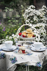 Tea Break Scone Strawberry Jam Garden Outdoors Concept