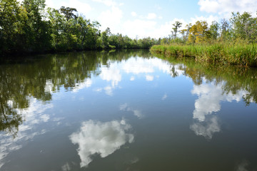 Clouds in the Water