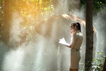 A teacher woman reading book in the forest and elephant