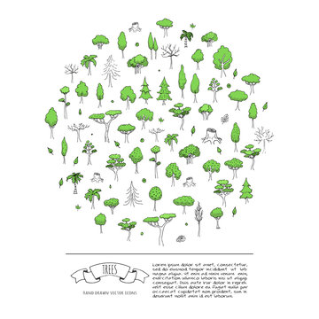 Hand drawn doodle Trees and Forest set Vector illustration tree icons Forest concept elements Isolated silhouette symbols collection Nature Plant clipart design Leaf Fir Ever green Branch Stump Palm