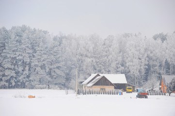  winter landscape