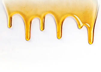 Dripping golden sweet honey flowing down the frame from the top over white with copyspace and text