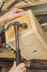 Carpenter makes the bottom of the birdhouse