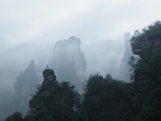 Fototapeta premium Zhangjiajie national forest park. Landscape.