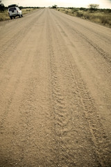 Naklejka premium Decert africa