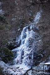 氷結した滝（愛媛県白猪の滝）
