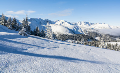 Forest and mountains in winter.