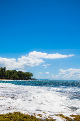 Tropical Seashore. Island and waves