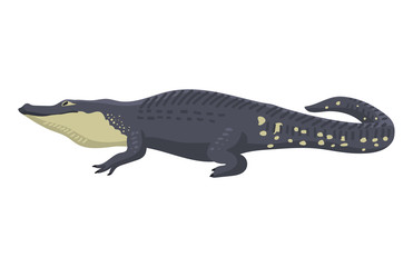 Cartoon green crocodile danger predator and australian wildlife river reptile carnivore alligator with scales teeth flat vector illustration.