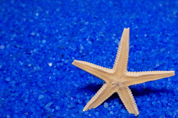 Fototapeta na wymiar 貝殻と青い砂