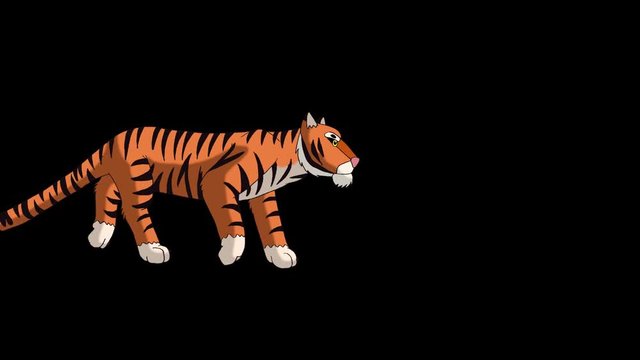 Tiger Walks. Animated Motion Graphic  with Alpha Channel.