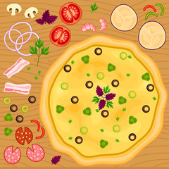 Set with cheese pizza and different ingredients. Vector illustration
