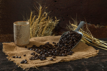 roasted coffee bean purifying from spoon