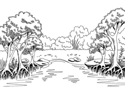 Jungle forest river graphic black white landscape sketch illustration vector © aluna1