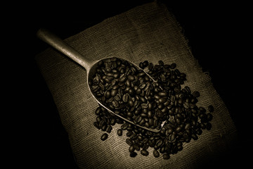 roasted coffee bean purifying from spoon