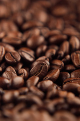 Roasted coffee beans close-up with blur vertical shot as background.
