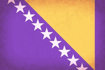 Bosnia and Herzegovina flag pattern