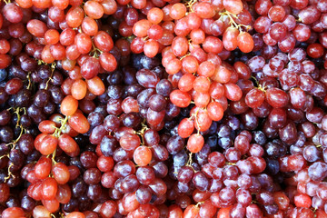 grape background