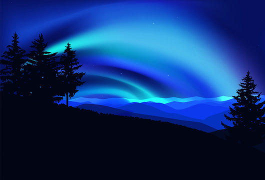 Silhouette of coniferous trees on the background of colorful sky.  Flying eagles. Night. Northern lights.