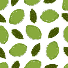 Hand drawn vector seamless pattern with green lime and leaf. Tropical summer fruit engraved vintage style illustration. Design elements for branding package, textile.