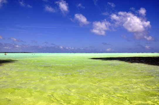 Bonaire sea jibe city