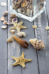 sea shells ocean stones rusty vintage wooden background
