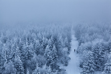 Einsamer Wanderer in nebligem Wald im Winter