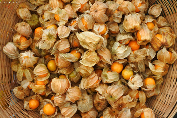 Gooseberry background texture