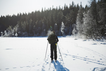 Fototapeta na wymiar Skier tourist with a backpack on a frozen lake in the woods around the sun