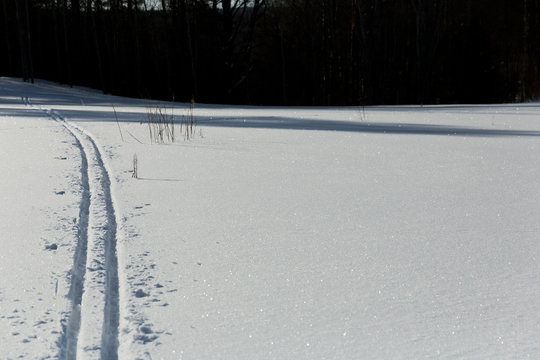 Ski run on the white snow as straight lines - trails, disappearing into the distance to the forest. Winter sports