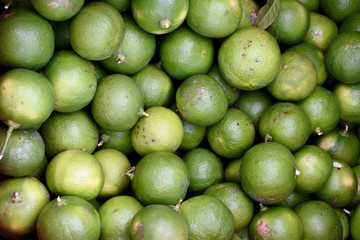 lime is a hybrid citrus fruit, which is typically round, lime green